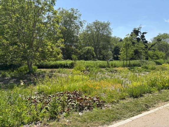 Vue du réaménagement de la RD10P et RD34A à Torcy